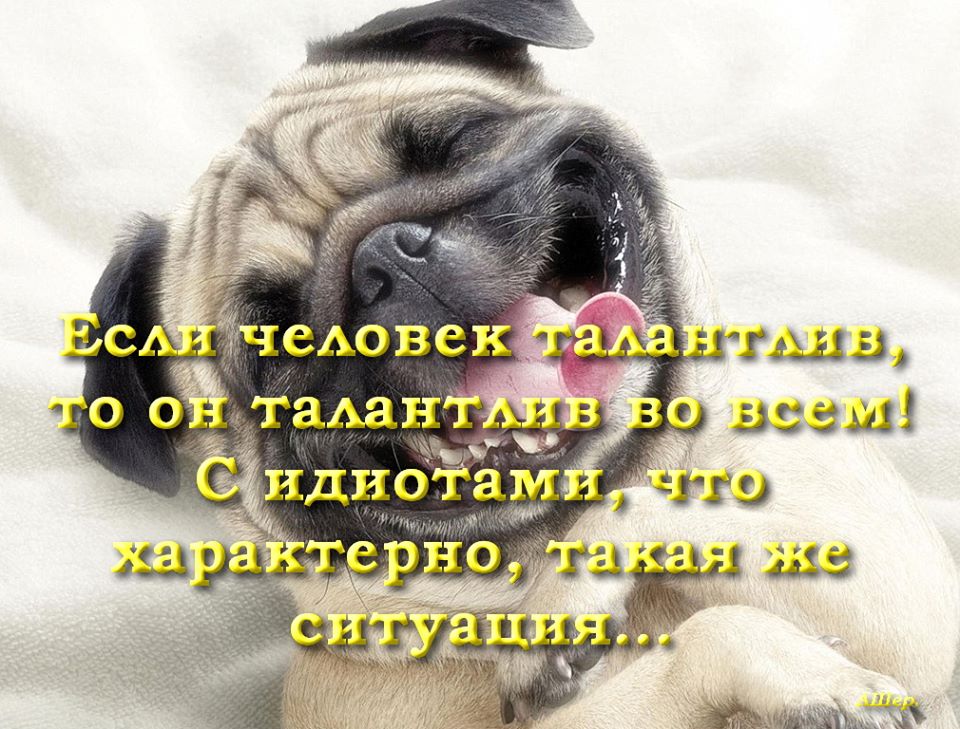 �� ��� �������� - �� ���� ���� �� ������������� ������������ �������� !