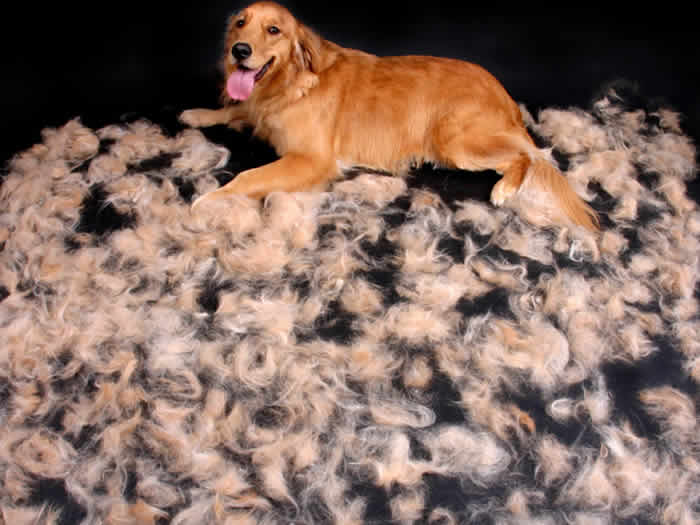 ������ ������� ������.