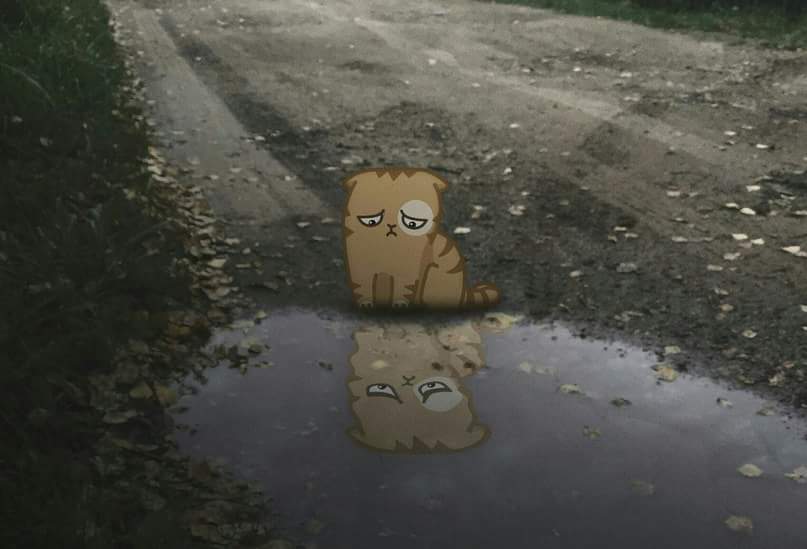 ���� ������... ����� ��� ������� �� ����������... ������������ ���������...