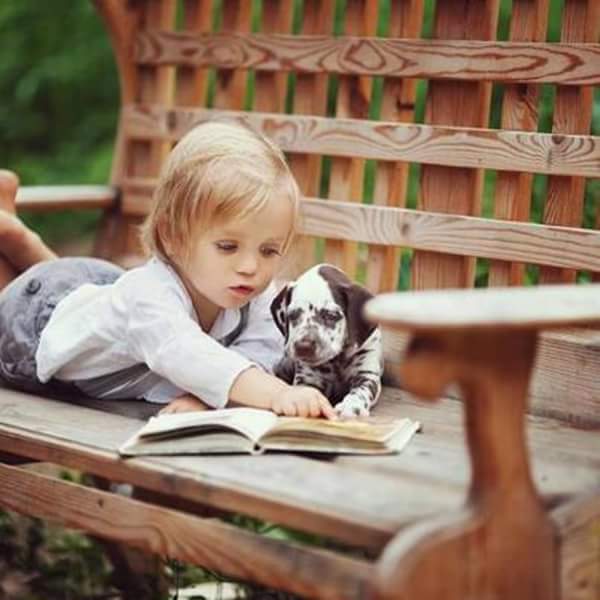 � ���� ����� - ���������...