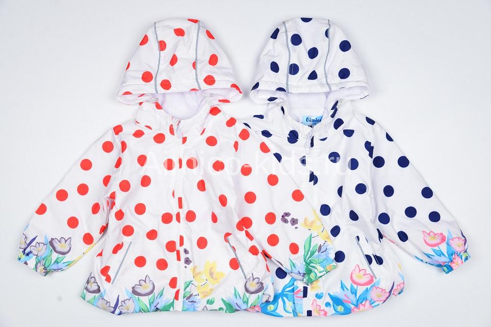 �������� ������ �imi�� ��� ����� �� 3 ������� �� 5 ���. �������� ����