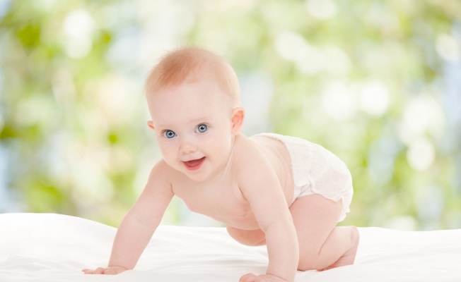 ���� ������� �� 14 �����. �������� ���������� Momi! Skippy, Winsun - �������� ���������� �� ������������� �����. ����������.