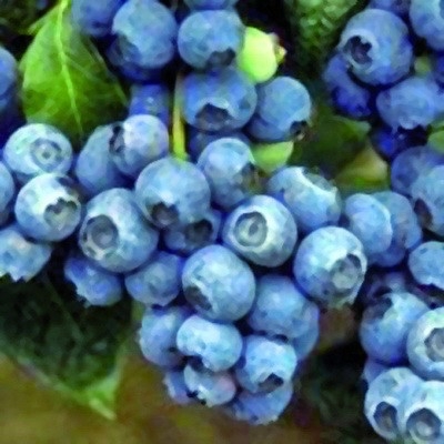 �������� ������� � ����������, ��������� �� ���*���*��� ��*�*��. ���. ��������� ������������ ���������! 2/17