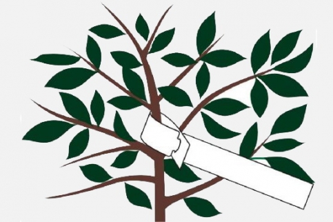 ���� ������� �� 26.03. ����� ������ ������� � ��������. �����-�������� � ������������ ����������� ������� ��� ���������� ��������.