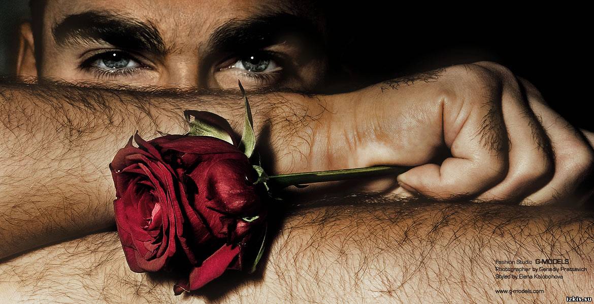 � ���������� �����, �������, �����!