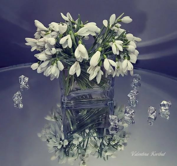 � ����������� ���������� !!! 