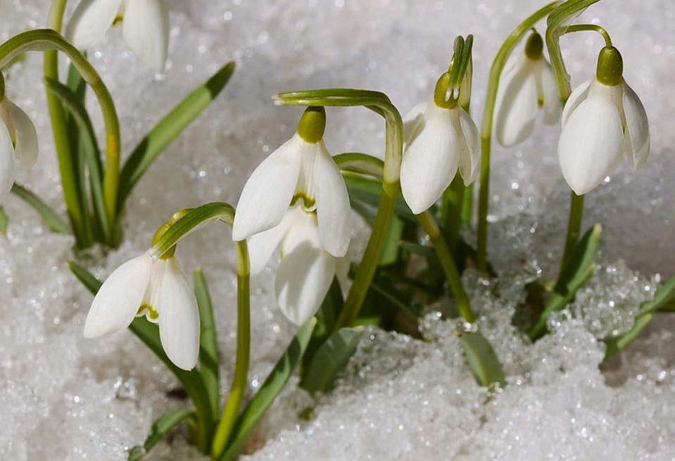 � ���������� 8 �����!!!