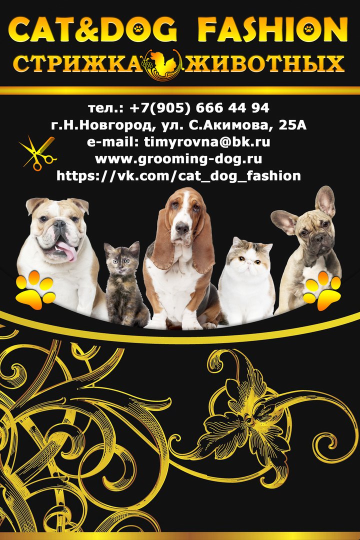 ����� �����, ���� ��������� � ������� ������ ����� ��������.