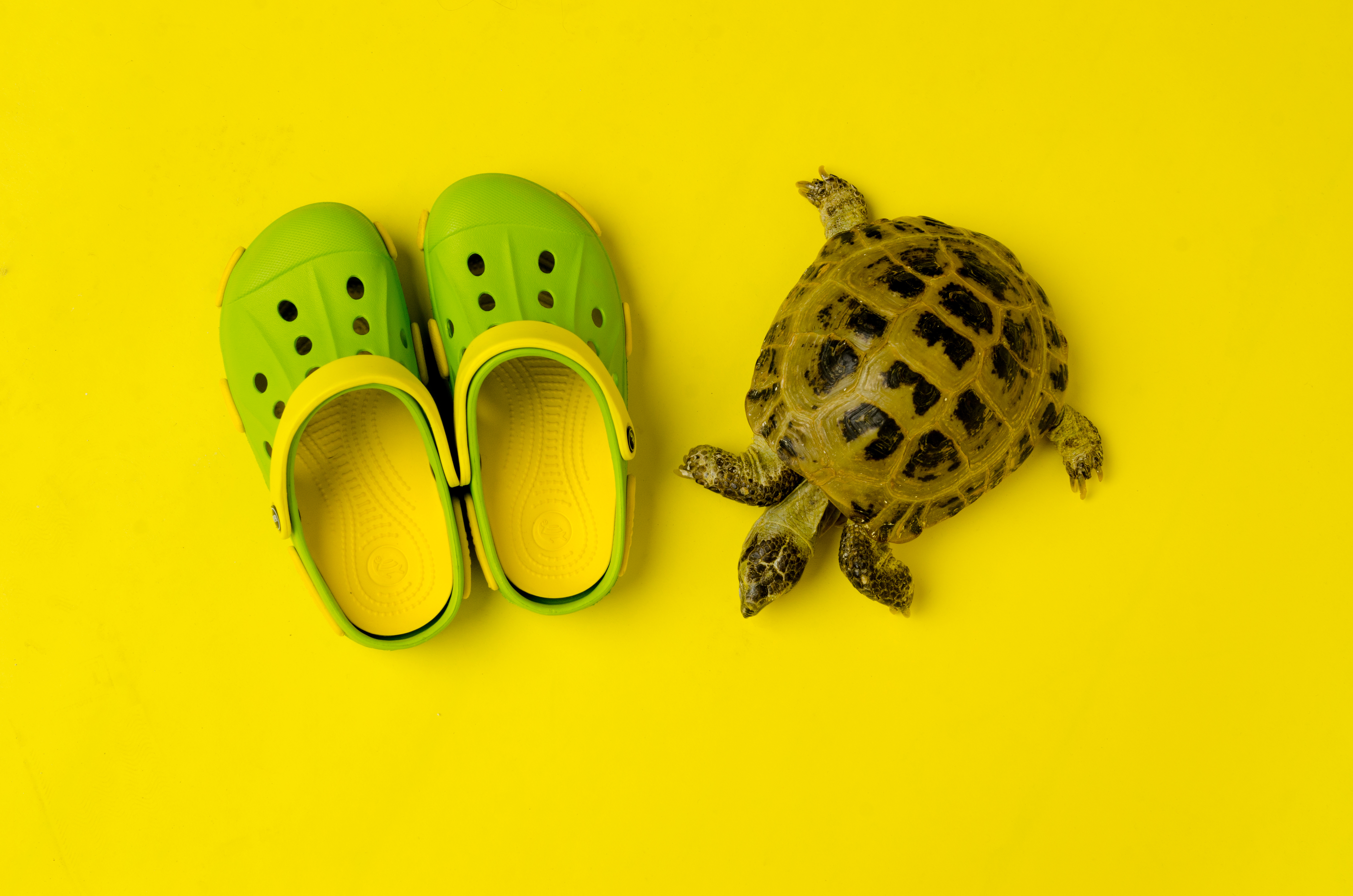 [b]~Tilla~ - ����� ���������� ������� ����� �� ��� - ���������� ������, �� ����� ��������� �����![/b]