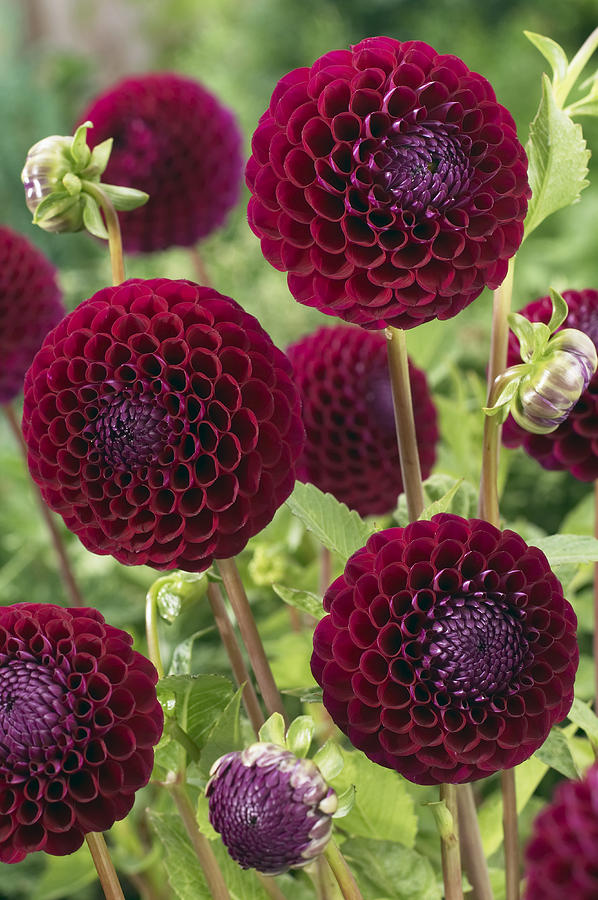 ���������� � ������������ �� �������� ��*�*��. ��������� ���������! 2/17