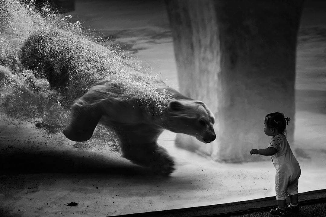 ���� � �������...