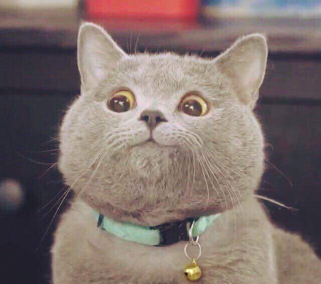 ��-��-������ � �����....