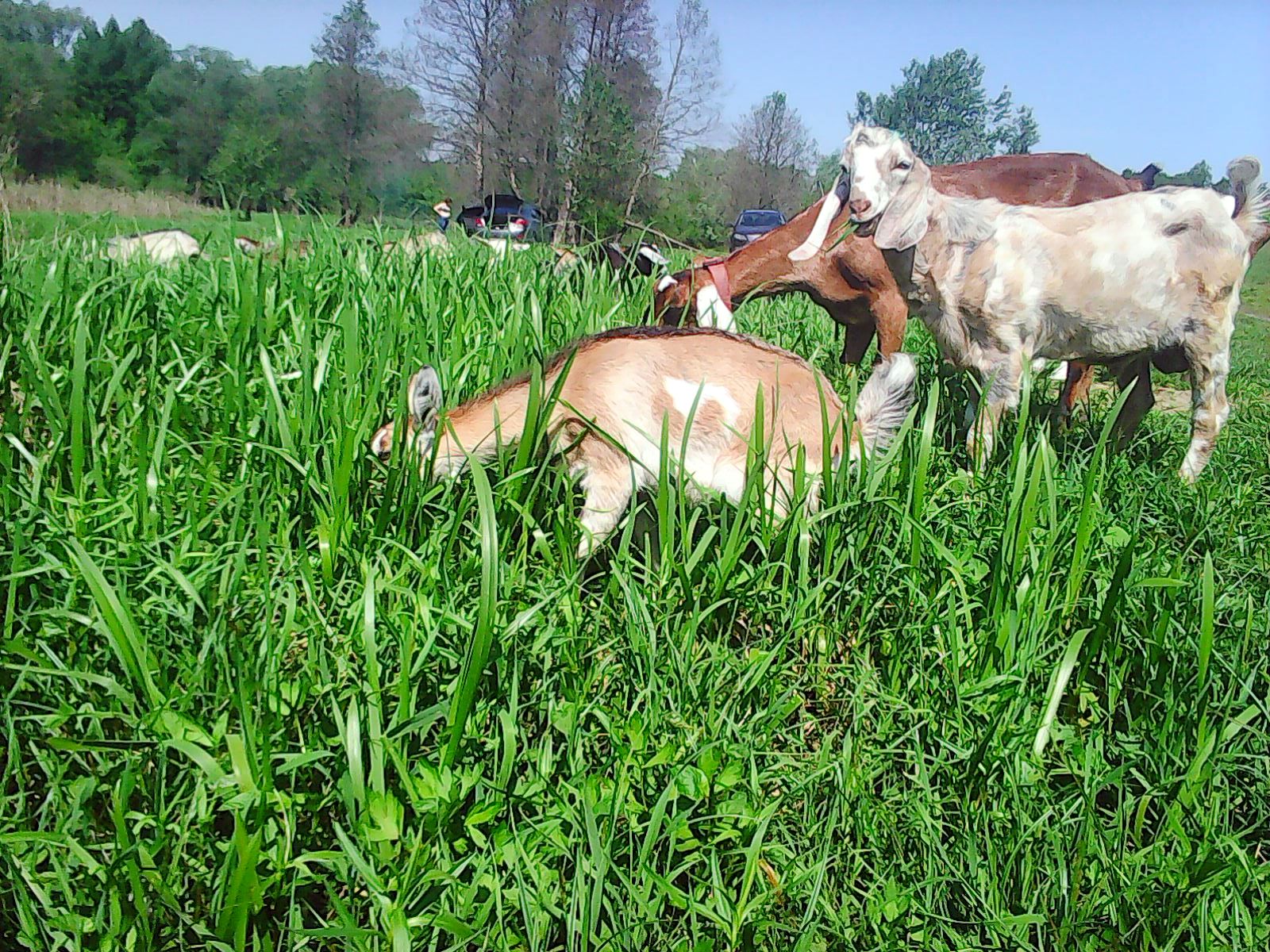 ������� ������� � �������� ����� �������.��� ������ � ���������, �������, �� ���������� ���. 100 ��� �� ���� �������� �� ������