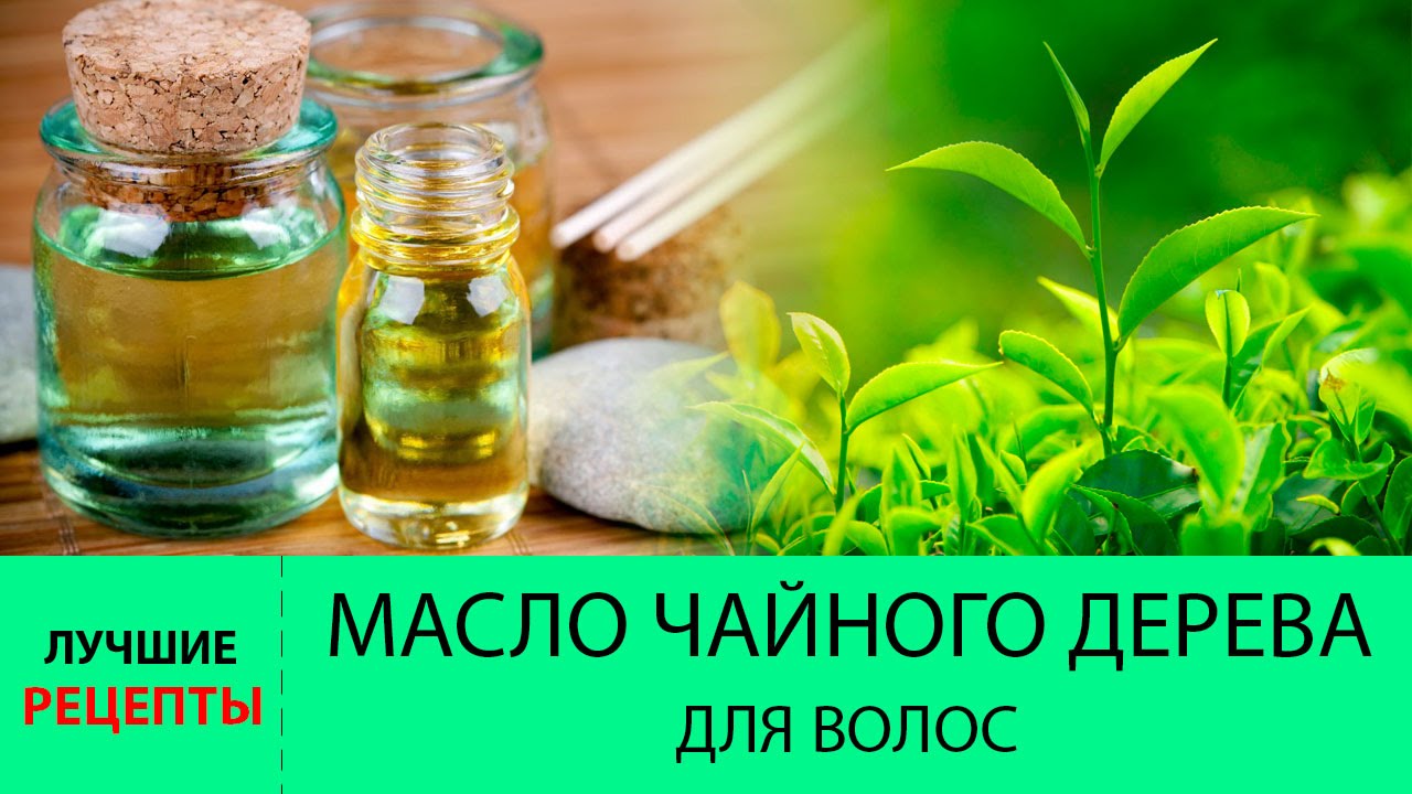 ������ ���� ������������ ��������� TEEBAUM �� �����������-1. ��������� ��� ���������� ���� �� ������ ����� �������������� ������� ������.