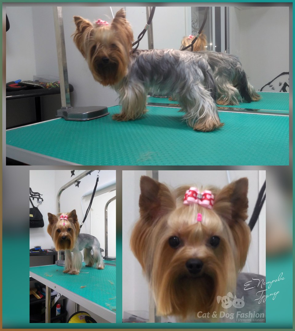 ������������� ����� ����, ������ 10%