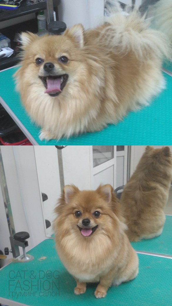 ������������� �� �����, ������ 10%