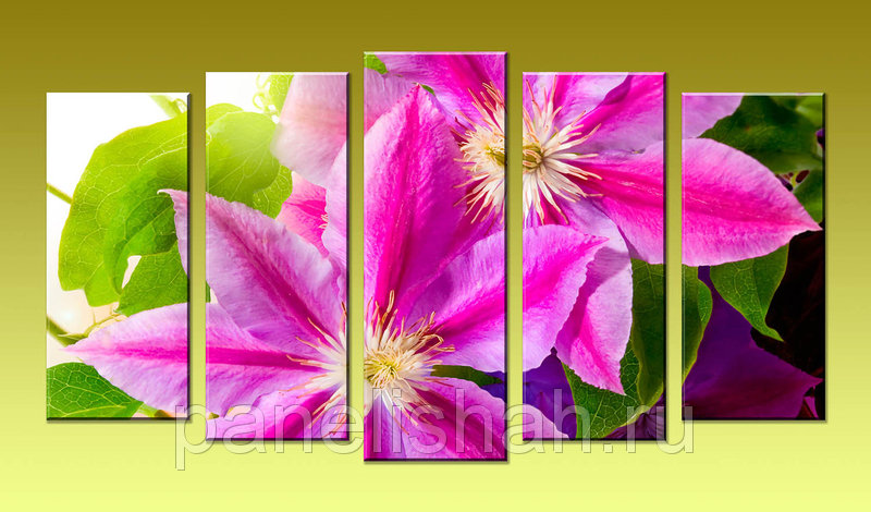 [b] ���� ������� . ���� 16 ������. ��������� ������� �� ��������� ����������: �����, ������� [b]