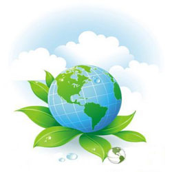 ���� �������. ������������ ���������� ��������� � �������� ������� ��� �����.