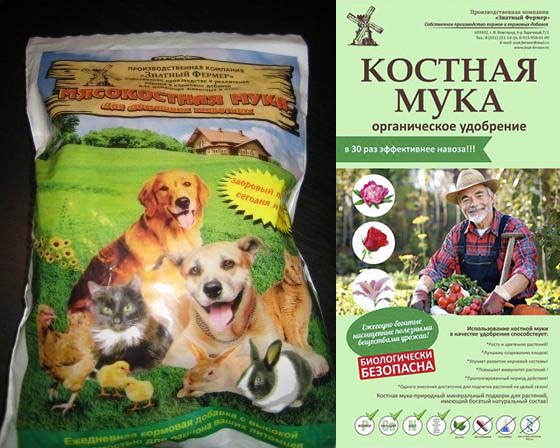 ���� �� 6 ������. ����������� ���� - ������������������ ���������������� ���������� ��� �������� ��������. ������� ���� - ������������ ���������. � 30 ��� ����������� ������