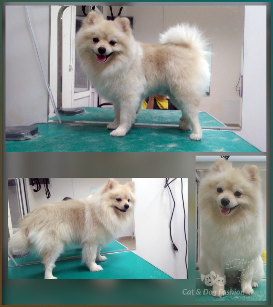 � ��� ��� �����