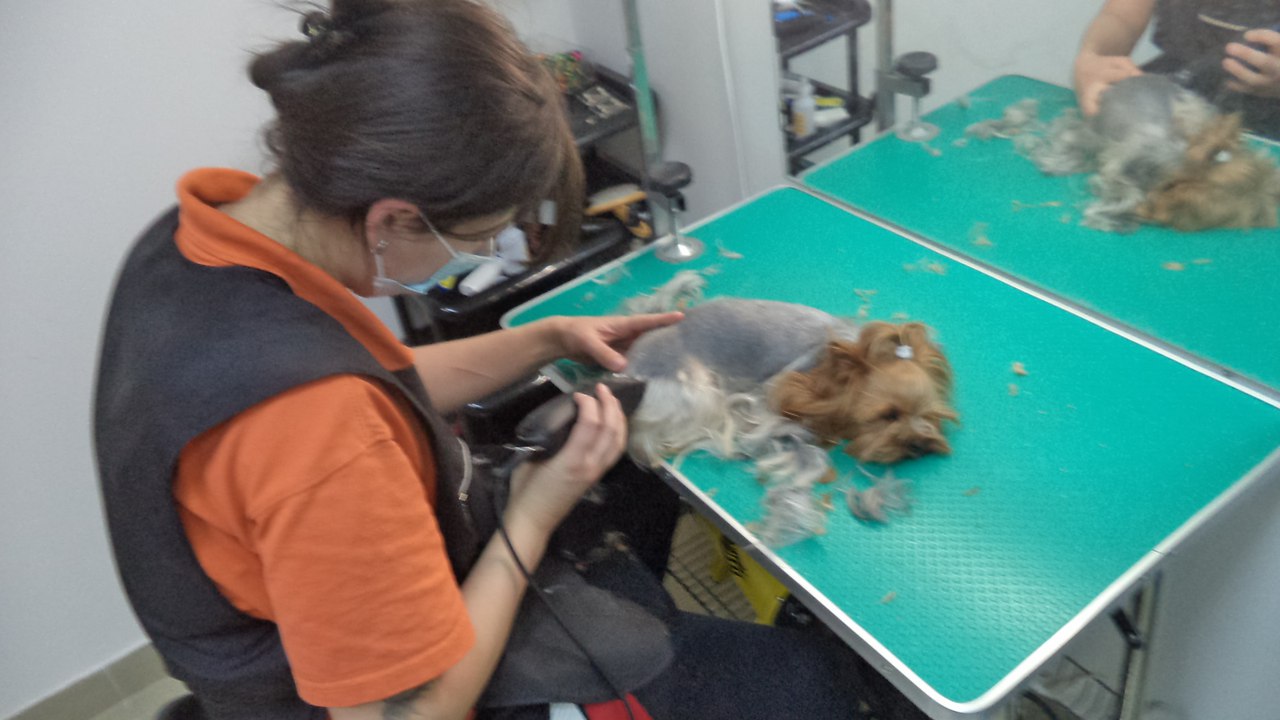 ������� ����� ��������