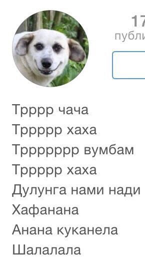 ����������: