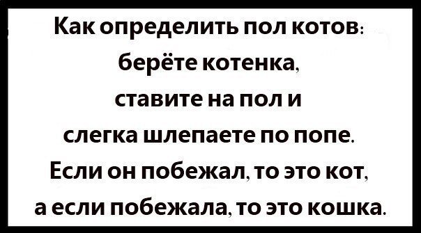 �����