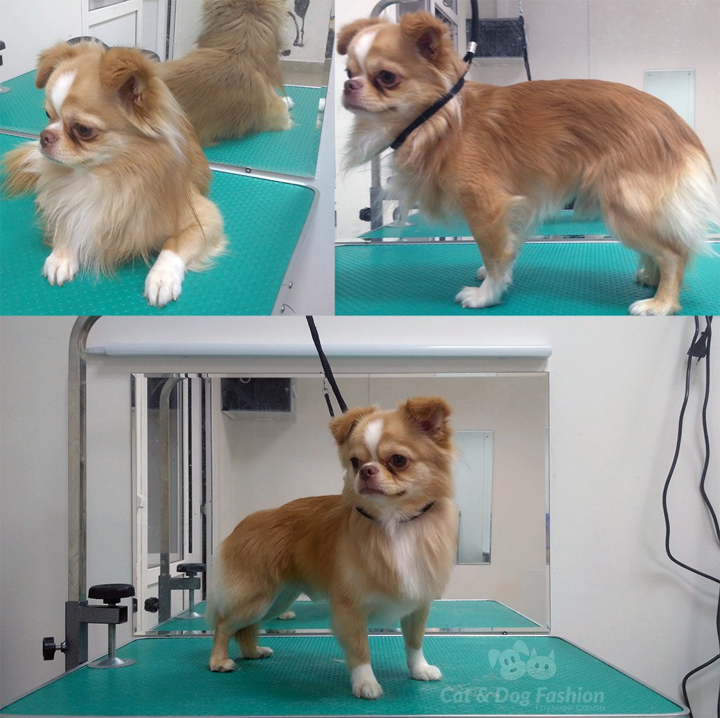 ��������� �������