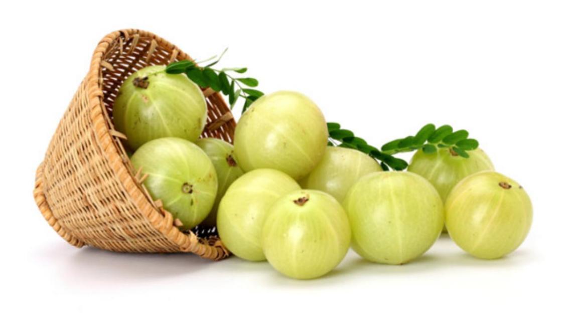 ����, ������� (emblica officinalis) 