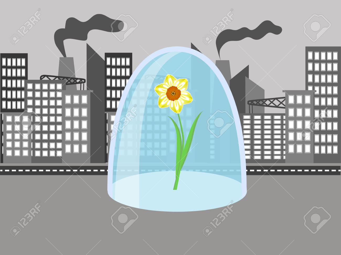 ������ ������� �� ����� ���� ���������?