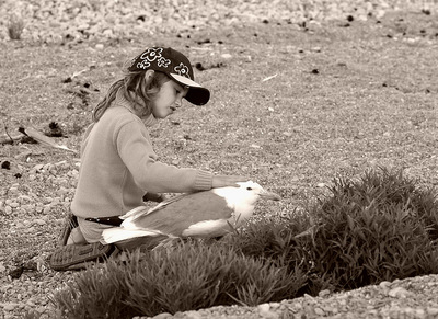 �� �������� ����� �����. ������ � ���������� ������� �����.����� ������ ���������