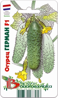 �������� ������� � ������! ���������� � �����������!