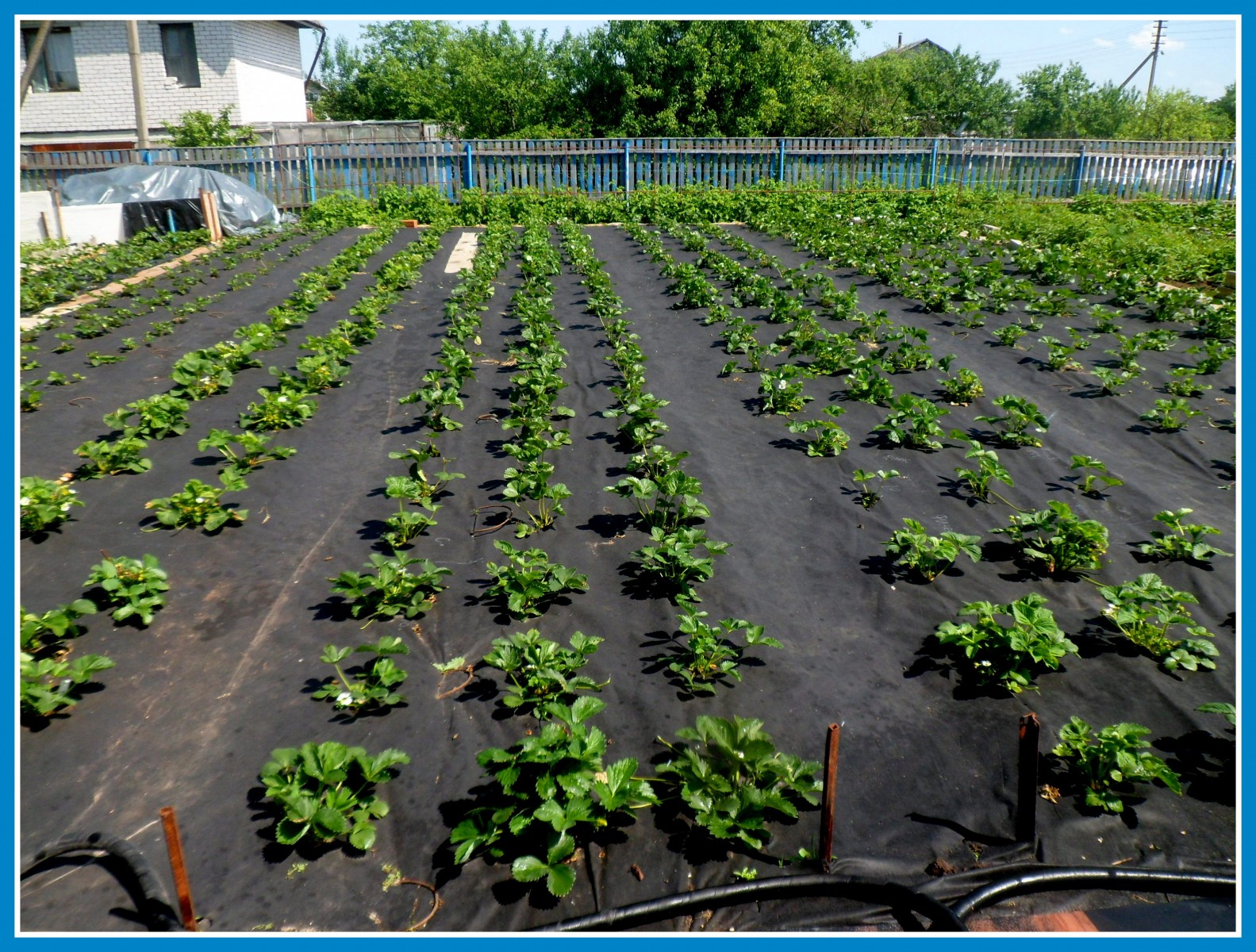 ���� ������� �� 21.03. �������� �������� � ������ �� �������� (� �������� �����������, ��������������, ������������, �����������), ���������� ��� ��� �������������, ������� �������, ������, ������������ �����, ��������� 21. ���� ������ � �������