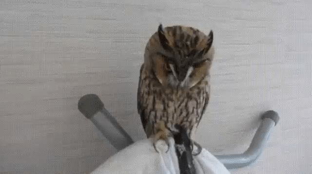 - ��� �������? � �������? �� � ��� ����� ���������!