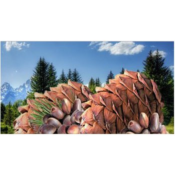 �������� �� ������. �������� ������ � ���� �� 110 ���.! ������� �� �������, ��� ���������, �� �����. ������ �����. ������� �����, ������, ������. �ӣ ��� ������ ��������!-2