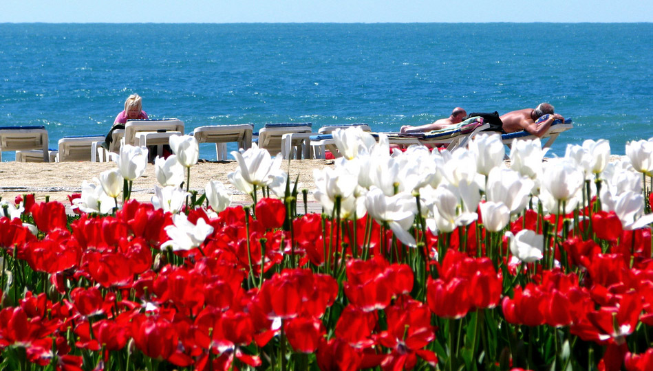 ������ �� ������� ���������!!!