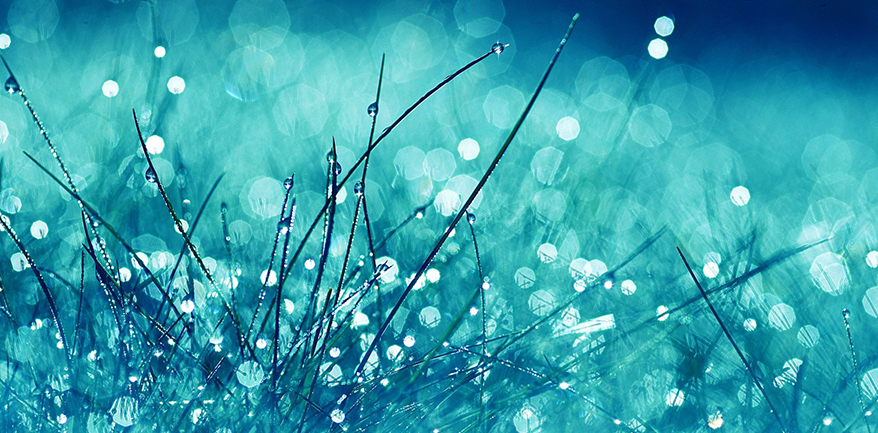 ������ ����� ��� ������