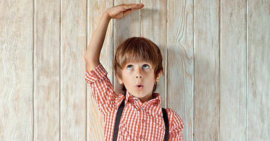 ���� ����� ������ ����