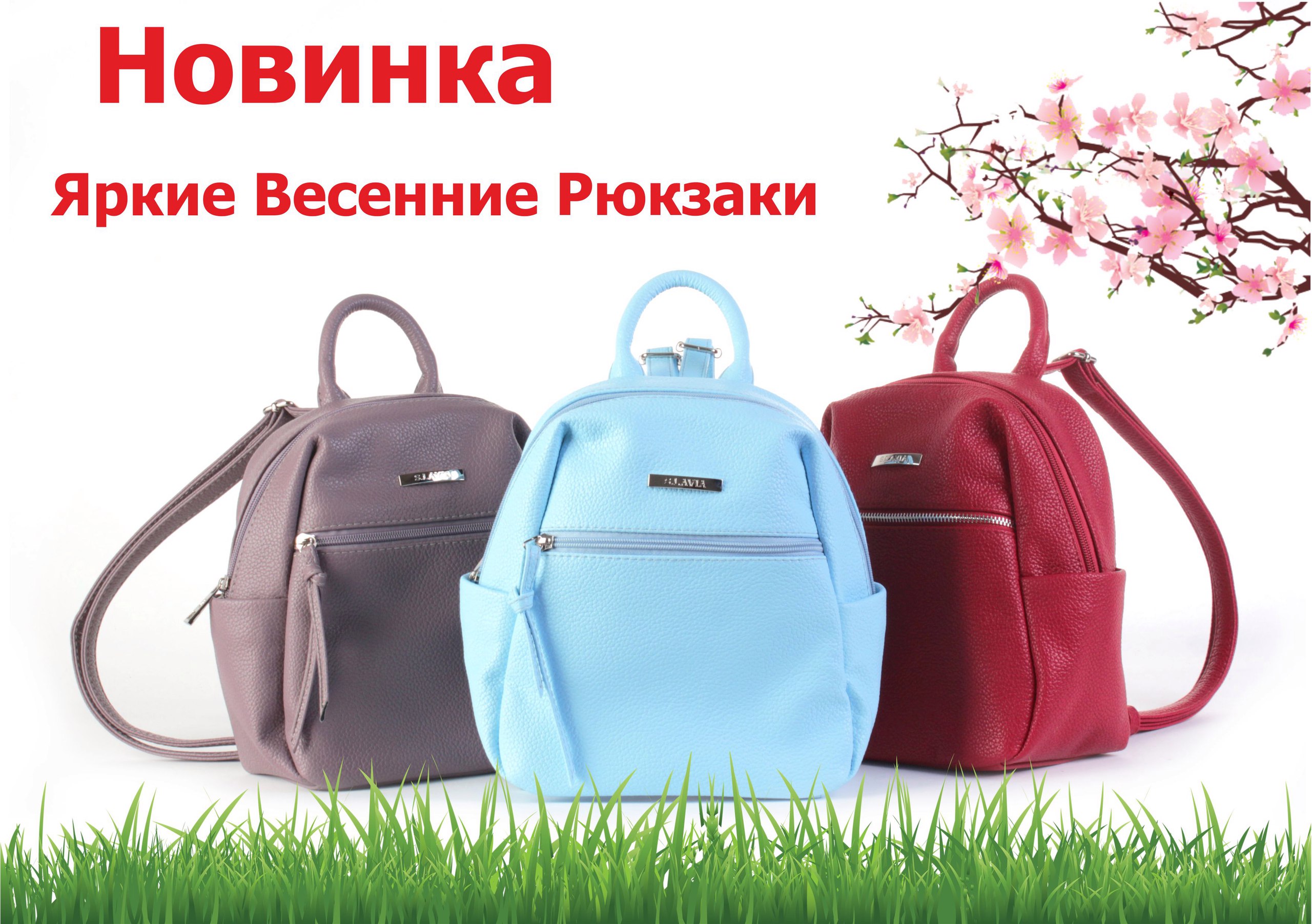 ����� ������ �� ������. ����� ����� ���������. 