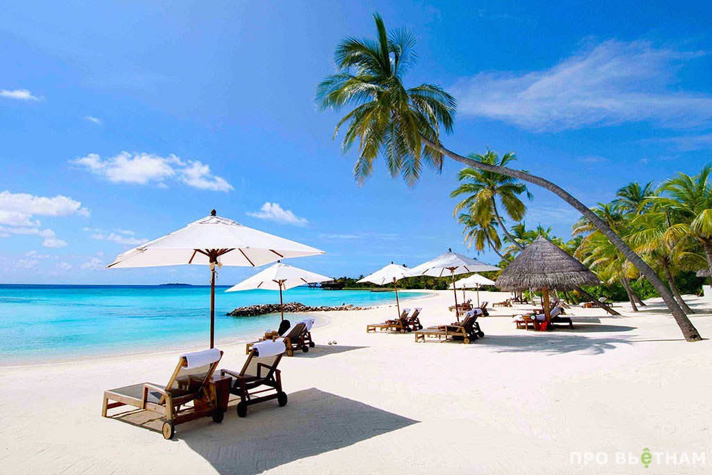 ����������� ��� - �������, ������!!!!