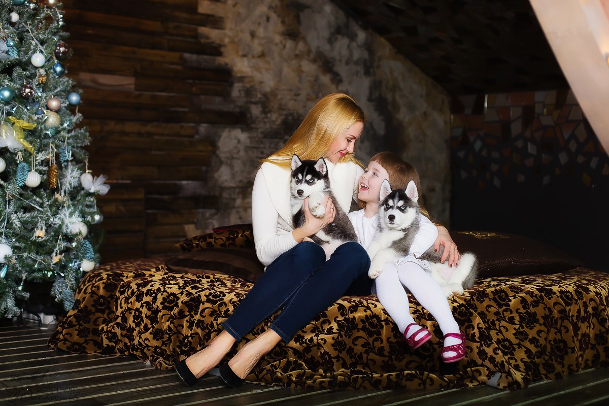 �������� � ������� ��������. ��������� ����� ������!)