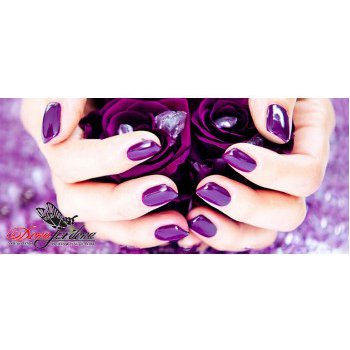 ������� ����, ������ ������� � �������������� �������! �ӣ ��� ����� �������: ��� �� 44 ���, ����-��� �� 125 ���, ���� � ���������� 86 ���, ���.����� 270 ���. ���� ���� ���������� � 2 ����!-2