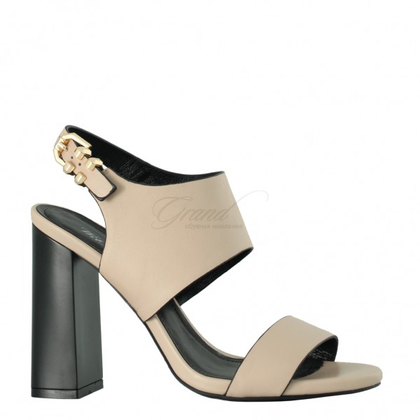 ������������ ����� ��������� ��. �����-���� 2017.36 �����