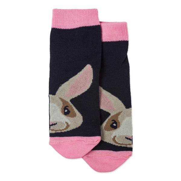 ���� ������� �� 02.04. ������� �������� � �����, ������� �������� �� ���������� �������� ������� 56. ����� ��������� ������� ������ �����-����