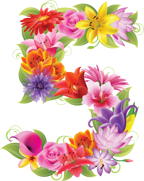 ������ � 27 �� 31 ����� ���������� �������� - ��� 5%!