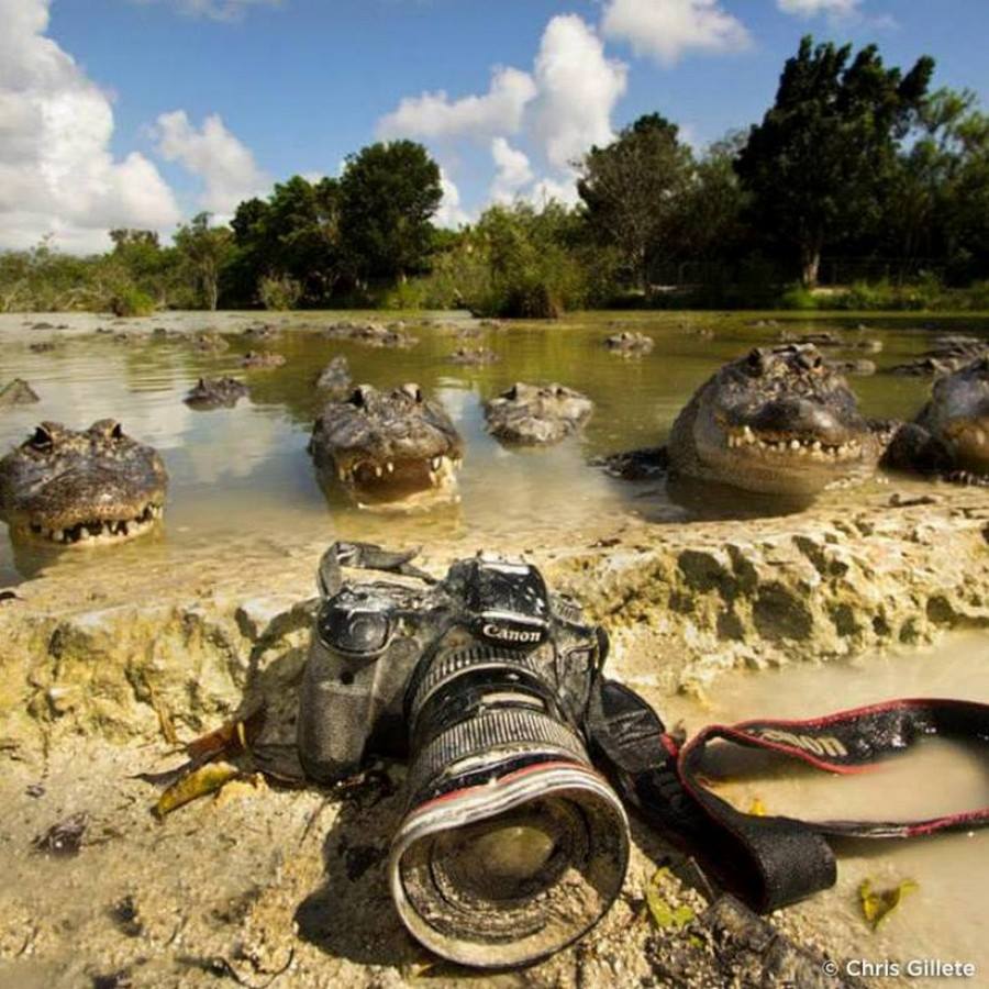 ��������, ���������� � �������!  �� ���������� �� �����!