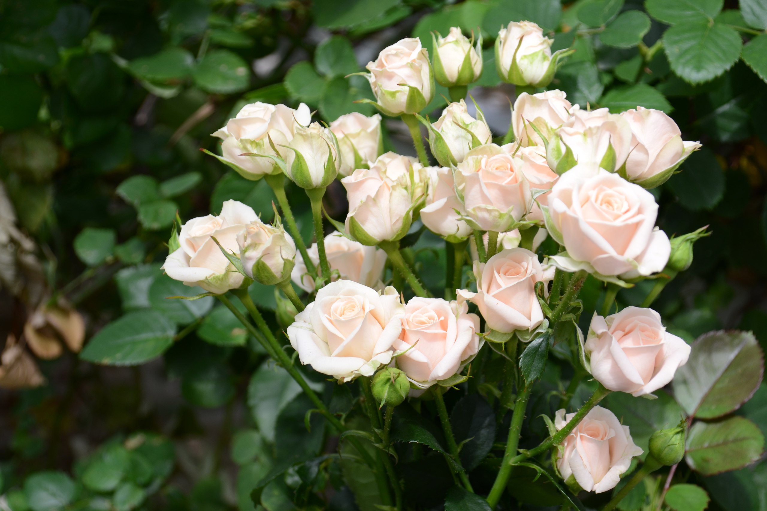 ���� �������. ������ ����� ������ ���! ������� �� ����� ������ �������������� ����. ���� ��� ������� ������. ����� 6