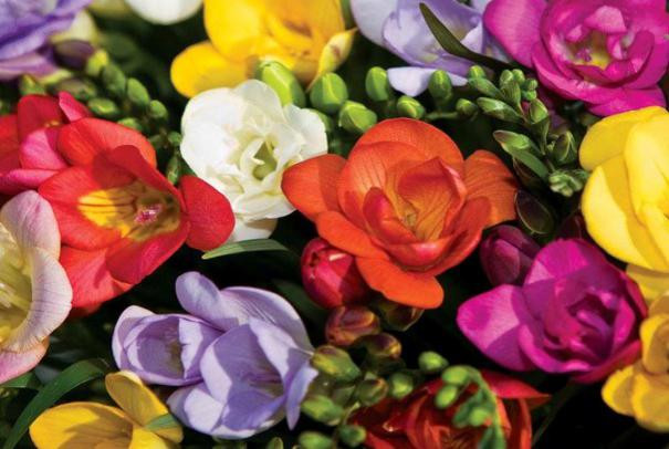 ���� �� 9.04. �������� ������� - ����� ����������� ��� ���������, ������ ������-16