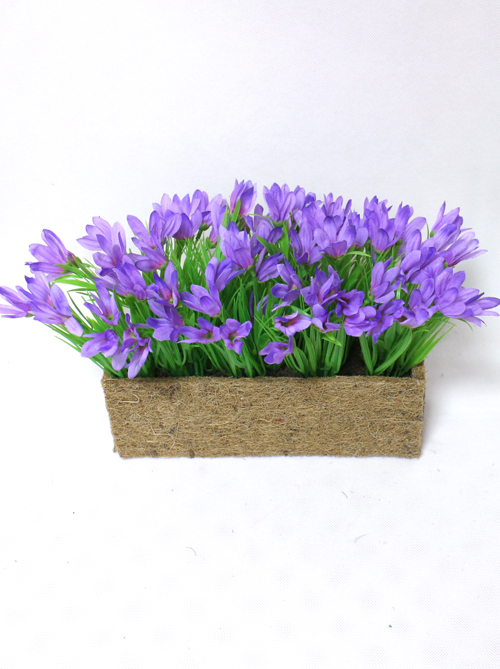 ��������� ������������! ��� ���� ��� ����� � ��� ����������, ��� ��� ��������, �� ���� ������!