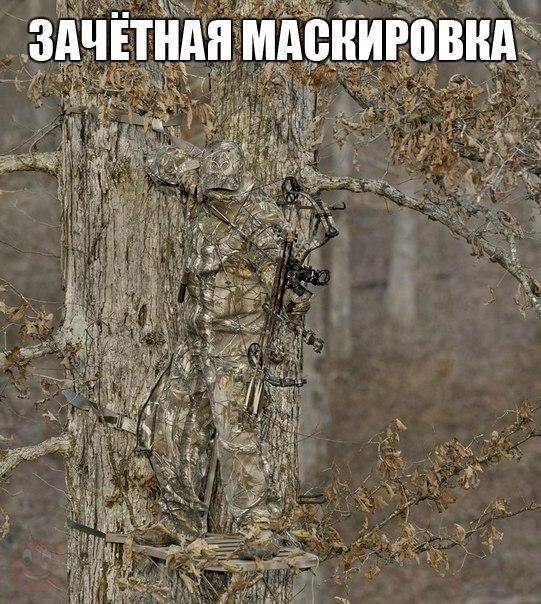 ������� ����
